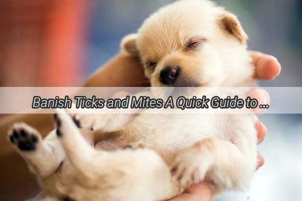 Banish Ticks and Mites A Quick Guide to Debunking Your Dogs Allergies